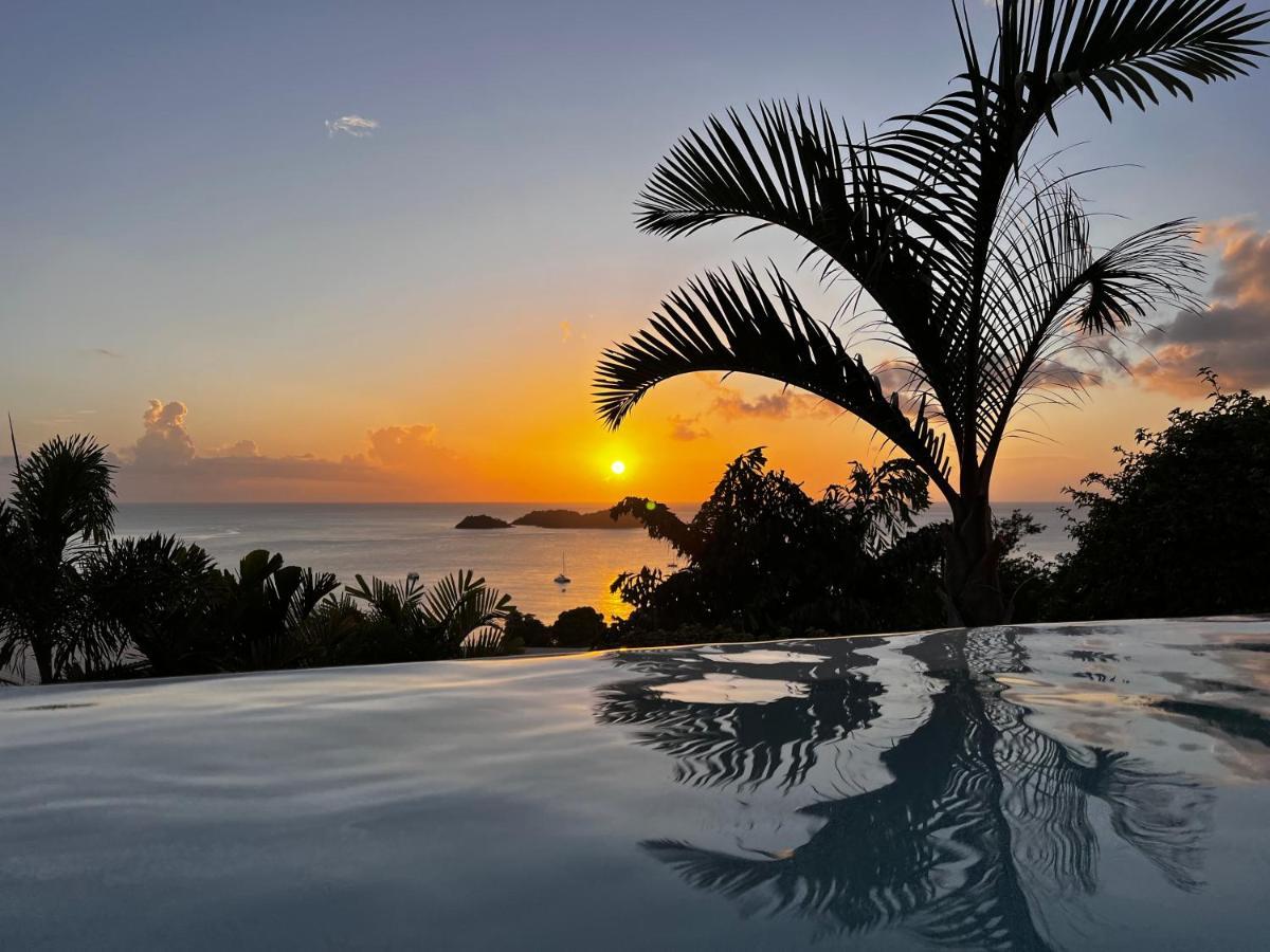 בוויאנט Sunset Palm - Villa Creole Avec Piscine Face Au Coucher De Soleil Et A La Reserve Cousteau מראה חיצוני תמונה